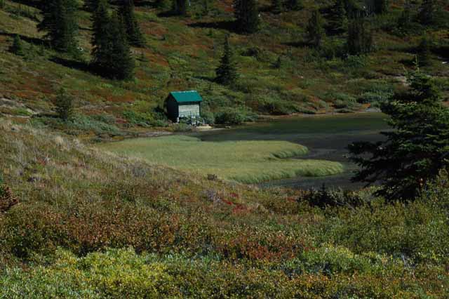 the Columbia Icefield